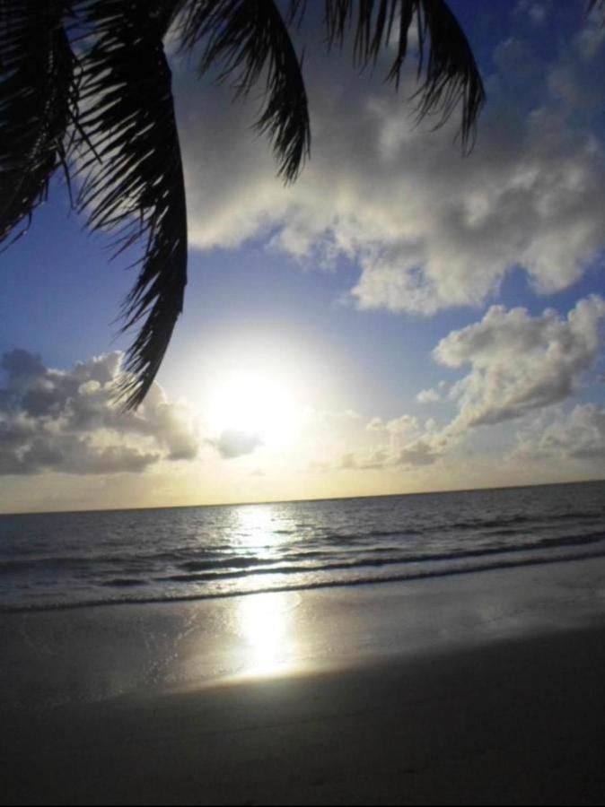 Carneiros Beach Resort - Flat Tamandaré エクステリア 写真